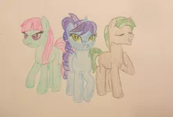Size: 629x426 | Tagged: safe, artist:berrypunchrules, derpibooru import, crystal lullaby, marco dafoy, melon mint, ponified, pony, equestria girls, friendship games, background human, crystal prep shadowbolts, equestria girls ponified, raised hoof, traditional art