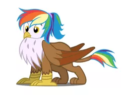 Size: 856x651 | Tagged: safe, artist:flash equestria photography, derpibooru import, oc, oc:rainbow feather, unofficial characters only, gryphon, interspecies offspring, magical lesbian spawn, next generation, offspring, parent:gilda, parent:rainbow dash, parents:gildash, simple background, solo, vector, white background