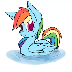 Size: 2000x2000 | Tagged: safe, artist:billysan727, derpibooru import, rainbow dash, pegasus, pony, behaving like a bird, behaving like a duck, cute, dashabetes, rainbow duck, solo, water