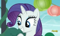 Size: 2337x1393 | Tagged: safe, derpibooru import, screencap, rarity, the gift of the maud pie, discovery family logo, smiling, solo