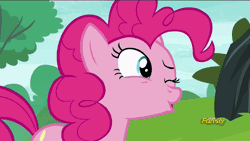 Size: 960x540 | Tagged: animated, boop, derpibooru import, discovery family logo, eye contact, frown, manehattan, maud pie, noseboop, nose wrinkle, pinkie pie, safe, screencap, the gift of the maud pie, wide eyes