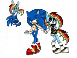 Size: 2160x1613 | Tagged: anthro, artist:eternityspark, chao, crossover, derpibooru import, kiriban, plantigrade anthro, rainbow dash, safe, simple background, sonicified, sonic the hedgehog, sonic the hedgehog (series), species swap, transparent background