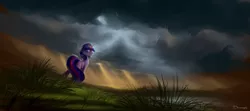 Size: 2300x1020 | Tagged: dead source, safe, artist:shamanguli, derpibooru import, twilight sparkle, pony, unicorn, crepuscular rays, grass, lake, looking at you, rain, scenery, solo, unicorn twilight