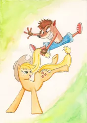 Size: 1644x2318 | Tagged: safe, artist:souleatersaku90, derpibooru import, applejack, crash bandicoot, crossover, traditional art, watercolor painting