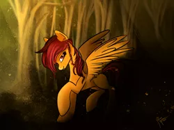 Size: 2576x1929 | Tagged: safe, artist:pedrohander, derpibooru import, oc, unofficial characters only, pegasus, pony, vampony, forest, request, solo