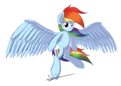 Size: 1023x731 | Tagged: artist:sheandog, derpibooru import, large wings, rainbow dash, safe, simple background, solo