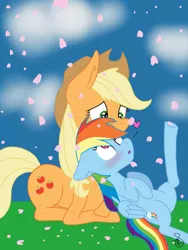 Size: 768x1024 | Tagged: safe, artist:ilaria122, derpibooru import, applejack, rainbow dash, appledash, blushing, cherry blossoms, female, lesbian, shipping, wide eyes