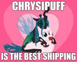 Size: 625x500 | Tagged: safe, artist:mixermike622, derpibooru import, queen chrysalis, oc, oc:fluffle puff, best ship, canon x oc, chrysipuff, cuddling, cute, cutealis, eyes closed, female, heart, hug, image macro, lesbian, meme, mouth hold, opinion, prone, shipping, sitting, smiling, snuggling, valentine, valentine's day