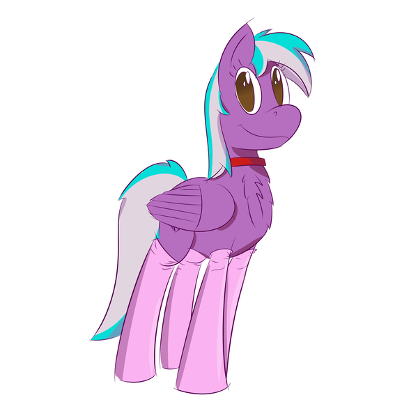 Size: 2500x2500 | Tagged: safe, artist:darklordsnuffles, derpibooru import, oc, oc:numbers, unofficial characters only, pegasus, pony, chest fluff, clothes, collar, looking at you, smiling, socks, solo