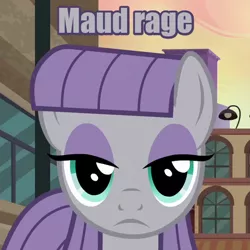 Size: 480x480 | Tagged: safe, derpibooru import, edit, edited screencap, screencap, maud pie, earth pony, pony, the gift of the maud pie, caption, female, frown, image macro, looking at you, mare, maud being maud, meme, rage, reaction image, solo, the fire in her eyes, tranquil fury