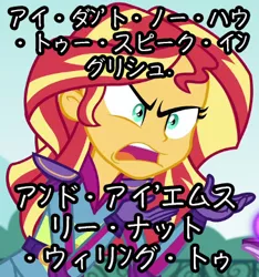 Size: 365x390 | Tagged: safe, derpibooru import, edit, edited screencap, screencap, sunset shimmer, equestria girls, friendship games, angry, caption, engrish, exploitable meme, image macro, japanese, meme, sunset is not willing to learn