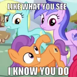 Size: 500x500 | Tagged: safe, derpibooru import, screencap, sassaflash, sea swirl, seafoam, tender taps, earth pony, pony, on your marks, colt, female, image macro, look at my ass, male, mare, meme, plot