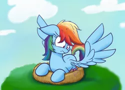 Size: 1280x914 | Tagged: safe, artist:heir-of-rick, derpibooru import, rainbow dash, pegasus, pony, behaving like a bird, cloud, egg, floppy ears, nest, prone, solo, spread wings