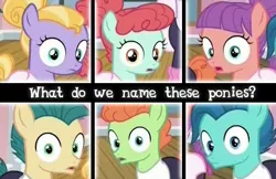 Size: 385x250 | Tagged: safe, derpibooru import, edit, edited screencap, screencap, ballet jubilee, berry star, shining passion, shuffle step, strawberry swing, waltzer, earth pony, pony, on your marks, caption, colt, female, filly, foal, hair bun, male, picture for breezies, ponytail, wide eyes