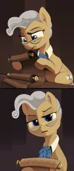 Size: 2500x5770 | Tagged: safe, artist:dimfann, derpibooru import, mayor mare, earth pony, pony, confused, copypasta, female, frown, glasses, high res, hoof hold, implied trixie, lidded eyes, looking at you, mare, meme, navy seal copypasta, raised eyebrow, reaction, reaction image, reading, scroll, solo, vulgar, what the fuck am i reading