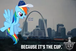 Size: 1000x667 | Tagged: derpibooru import, fake advertisement, gateway arch, hockey, ice hockey, nhl, rainbow dash, safe, skyline, slogan, solo, stanley cup playoffs, st. louis, st. louis blues, vector