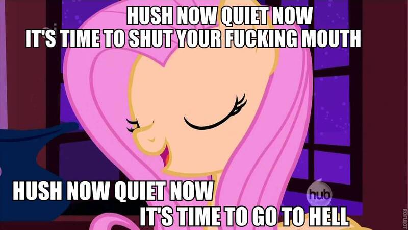 Size: 960x540 | Tagged: derpibooru import, fluttershy, hush now quiet now, image macro, meme, safe, vulgar