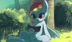 Size: 1006x591 | Tagged: artist:apricolor, belly button, book, derpibooru import, leaning, rainbow dash, reading, safe, sitting, solo, tree