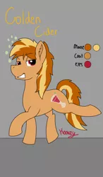 Size: 750x1280 | Tagged: safe, artist:koonzypony, derpibooru import, oc, oc:golden cider, unofficial characters only, earth pony, pony, drunk, gay, male, reference sheet, stallion