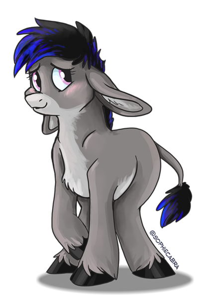 Size: 539x800 | Tagged: artist:spainfischer, cute, derpibooru import, donkey, female, floppy ears, oc, oc:tara, safe, simple background, solo, transparent background, unofficial characters only, unshorn fetlocks