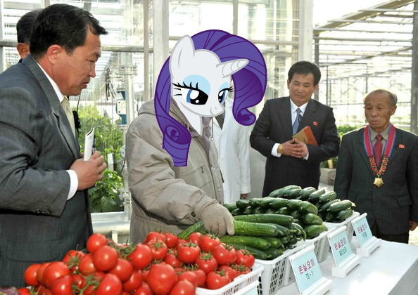 Size: 594x420 | Tagged: cucumber, derpibooru import, food, head swap, human, irl, irl human, kim jong-il, photo, rarity, rarity looking at food, safe, tomato