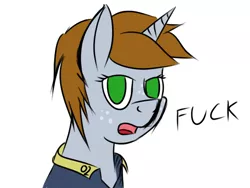 Size: 1024x768 | Tagged: safe, artist:frecklesfanatic, derpibooru import, oc, oc:littlepip, unofficial characters only, pony, unicorn, fallout equestria, fanfic, annoyed, bust, fanfic art, female, freckles, fuck, horn, looking at you, mare, open mouth, portrait, simple background, solo, vault suit, vulgar, white background