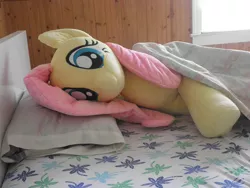 Size: 1984x1488 | Tagged: artist:qtpony, bed, derpibooru import, fluttershy, irl, life size, photo, plushie, safe, solo