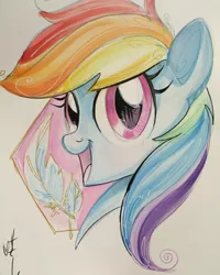 Size: 500x625 | Tagged: artist:sararichard, derpibooru import, rainbow dash, safe, solo, traditional art