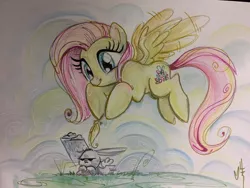 Size: 1080x810 | Tagged: safe, artist:sararichard, derpibooru import, angel bunny, fluttershy, angry, feather, flying, rain, traditional art