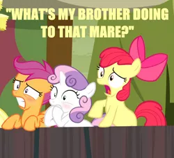 Size: 960x876 | Tagged: safe, derpibooru import, edit, edited screencap, screencap, apple bloom, big macintosh, scootaloo, sweetie belle, earth pony, pegasus, pony, unicorn, hearts and hooves day (episode), blushing, caption, female, filly, image macro, implied sex, innuendo, male, meme, shocked, stallion, voyeurism, wide eyes