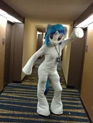 Size: 403x537 | Tagged: artist:ask-wub-pon3, artist:atalonthedeer, babscon, babscon 2016, clothes, costume, derpibooru import, fursuit, human, irl, irl human, photo, safe, solo, vinyl scratch