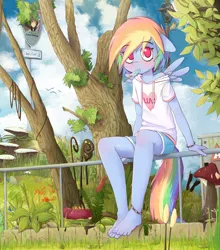 Size: 1850x2100 | Tagged: safe, artist:apony, derpibooru import, rainbow dash, anthro, plantigrade anthro, anklet, barefoot, blushing, bracelet, clothes, cute, dashabetes, detailed, feet, female, floppy ears, food, forest, grass, hoodie, ice cream, lamppost, looking at you, mouth hold, mushroom, outdoors, park, popsicle, sea salt ice cream, shirt, shorts, sitting, solo, toes