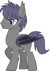 Size: 2237x3145 | Tagged: safe, artist:duskthebatpack, derpibooru import, oc, oc:nightseeker, unofficial characters only, bat pony, pony, male, simple background, solo, stallion, transparent background, vector