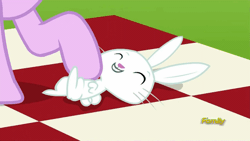 Size: 500x281 | Tagged: angelbetes, angel bunny, animated, bellyrubs, cute, derpibooru import, discovery family logo, no second prances, safe, screencap, starlight glimmer, weapons-grade cute