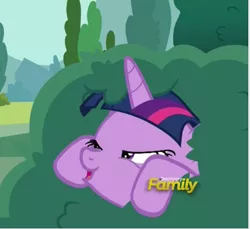 Size: 439x402 | Tagged: safe, derpibooru import, screencap, starlight glimmer, twilight sparkle, twilight sparkle (alicorn), alicorn, pony, no second prances, are you a wizard, bush, discovery family logo, faic, female, lidded eyes, lurking, mare, solo, twilight bushel