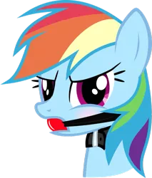 Size: 825x967 | Tagged: angry, artist:nxzc88, ballgag, blushing, collar, derpibooru import, gag, glare, rainbow dash, show accurate, show accurate porn, simple background, solo, suggestive, transparent background