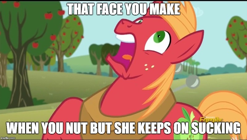 Size: 882x500 | Tagged: questionable, derpibooru import, big macintosh, earth pony, pony, no second prances, face, faic, image macro, male, meme, nut, stallion