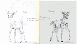 Size: 2051x1179 | Tagged: safe, artist:wisdom-thumbs, derpibooru import, oc, unofficial characters only, deer, lined paper, monochrome, pencil drawing, skull, swordpony, traditional art