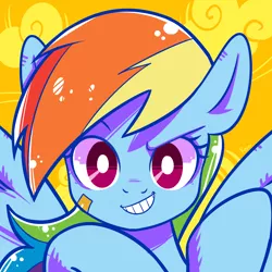 Size: 2000x2000 | Tagged: artist:renokim, derpibooru import, looking at you, rainbow dash, safe, solo