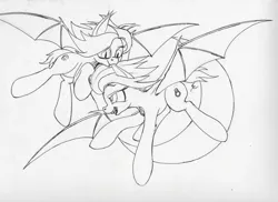 Size: 2338x1701 | Tagged: safe, artist:scribblepwn3, derpibooru import, oc, oc:gemma, oc:lapis, unofficial characters only, bat pony, pony, ear bite, flying, monochrome, pen drawing, traditional art, twins, wip