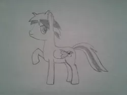 Size: 2560x1920 | Tagged: safe, artist:renardprower, derpibooru import, oc, oc:renard prower, unofficial characters only, pegasus, pony, looking back, male, monochrome, pencil drawing, raised hoof, simple background, solo, traditional art, white background