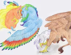 Size: 6136x4808 | Tagged: safe, artist:dawn22eagle, derpibooru import, applejack, gilda, rainbow dash, gryphon, absurd resolution, angry, appledash, crying, female, gildash, interspecies, lesbian, rainbow feathers, shipping, smiling