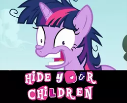 Size: 1276x1036 | Tagged: safe, derpibooru import, edit, edited screencap, screencap, twilight sparkle, pony, lesson zero, caption, expand dong, exploitable meme, female, hi girls, implied foalcon, mare, meme, solo, this will end in jail time, this will end in tears, twilight is a foal fiddler, twilight snapple