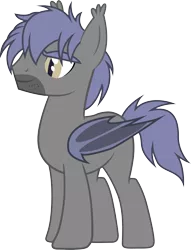 Size: 2384x3125 | Tagged: safe, artist:duskthebatpack, derpibooru import, oc, oc:vigil, unofficial characters only, bat pony, pony, male, simple background, solo, stallion, transparent background, vector