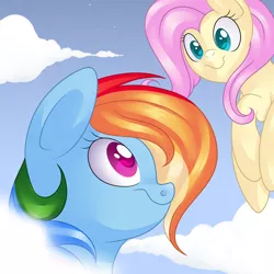 Size: 3000x3000 | Tagged: artist:88ms-allie88, artist:seleniium, derpibooru import, fluttershy, rainbow dash, safe