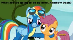 Size: 1673x929 | Tagged: caption, cutie mark, derpibooru import, discovery family logo, edit, edited screencap, image macro, lip bite, meme, newbie dash, out of context, rainbow dash, scootaloo, screencap, suggestive, the cmc's cutie marks, what are we gonna do on the bed?, wonderbolts uniform