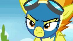 Size: 500x281 | Tagged: angry, animated, cute, cutefire, derpibooru import, discovery family logo, goggles, newbie dash, safe, screencap, solo, spitfire, unamused, wonderbolts uniform