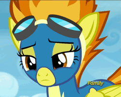 Size: 899x724 | Tagged: animated, cute, cutefire, derpibooru import, disappointed, discovery family logo, head shake, lidded eyes, loop, newbie dash, safe, screencap, solo, spitfire, wonderbolts uniform