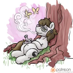 Size: 1500x1500 | Tagged: artist:smudge proof, bong, butterfly, derpibooru import, drugs, featureless crotch, high, marijuana, oc, oc:wayward pony, patreon, patreon logo, safe, sketch, smoke, tree, unofficial characters only