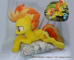 Size: 3952x3192 | Tagged: artist:epicrainbowcrafts, clothes, commission, derpibooru import, human, irl, irl human, life size, photo, plushie, safe, socks, spitfire, striped socks